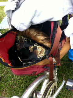 awa2010_00002.jpg