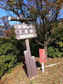 goshiki_01.jpg