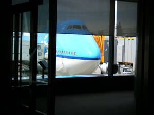 cardiff_00002.jpg