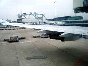 cardiff_00010.jpg