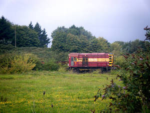 cardiff_00069.jpg