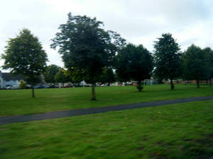 cardiff_00085.jpg