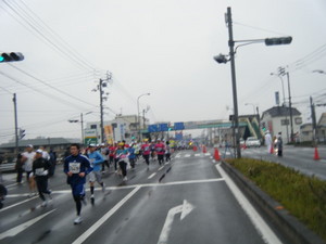 ehime10_pika.jpg