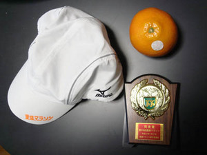 ehime10_sanka.jpg