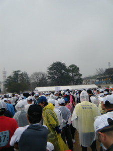 ehime10_taiki01.jpg