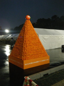 ehime10_tower.jpg