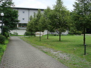 ger_forest_00002.jpg