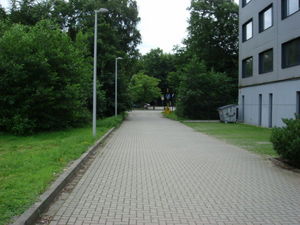 ger_forest_00003.jpg