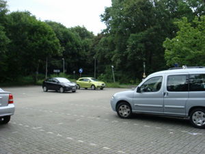 ger_forest_00004.jpg