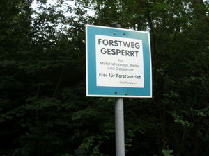 ger_forest_00005.jpg