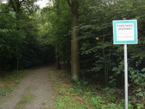 ger_forest_00006.jpg
