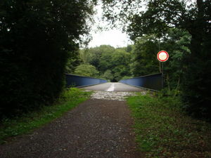 ger_forest_00010.jpg