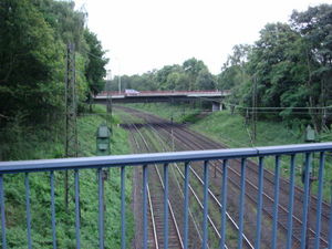 ger_forest_00011.jpg