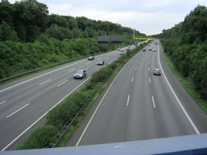 ger_forest_00012.jpg