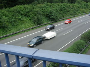 ger_forest_00013.jpg