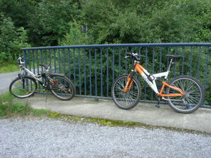 ger_forest_00014.jpg