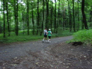ger_forest_00024.jpg