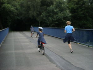 ger_forest_00034.jpg