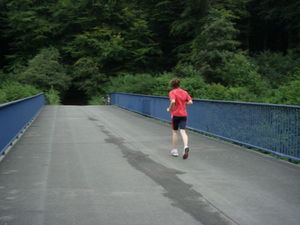 ger_forest_00035.jpg