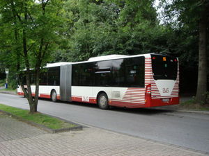 ger_forest_00039.jpg