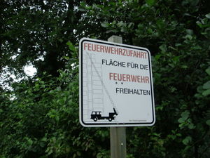 ger_forest_00041.jpg