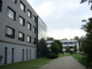 ger_forest_00042.jpg