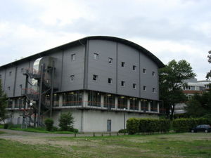 ger_forest_00043.jpg