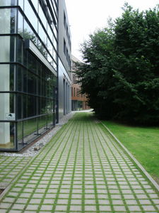 ger_forest_00044.jpg