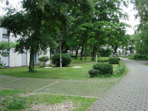 ger_forest_00046.jpg