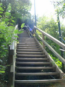 ger_rh_00038.jpg