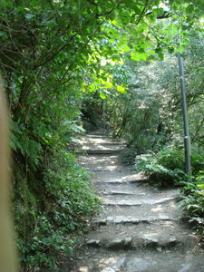 ger_rh_00039.jpg