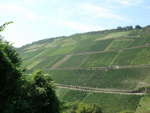 ger_rh_00041.jpg