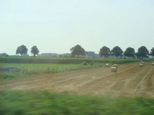 ger_rt_00004.jpg