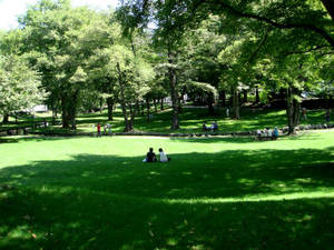 hokudai_00047.jpg