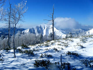 kenzan10_00021.jpg