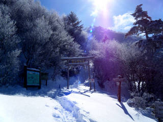 kenzan10_00030.jpg
