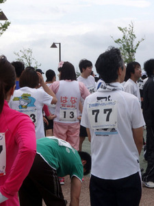 kokusai09_hana_b.jpg