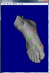 my_foot.jpg