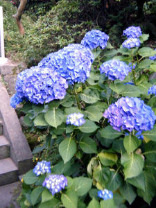 nagasaki_00040.jpg