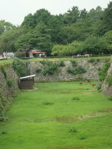 nagoya_saiko_00002.jpg
