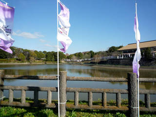 nara10a_00017.jpg