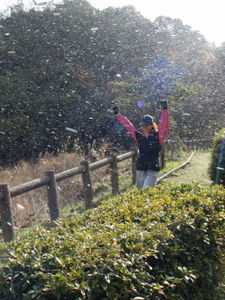 ooasa_trail_00010.jpg
