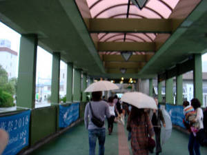 seto5_00002.jpg