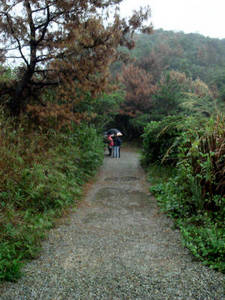 seto5_00021.jpg