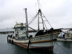 seto5_00032.jpg