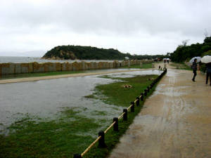 seto5_00037.jpg