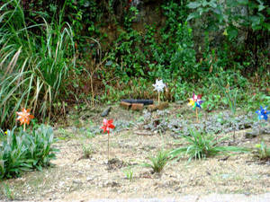 seto5_00042.jpg