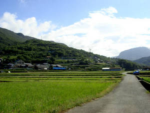 seto5_00052.jpg