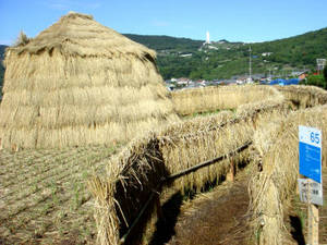 seto5_00056.jpg