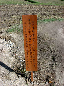 seto5_00063.jpg
